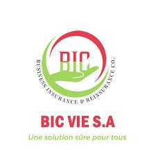 BIC VIE